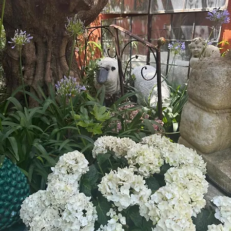 Romana فندق مبيت وإفطار