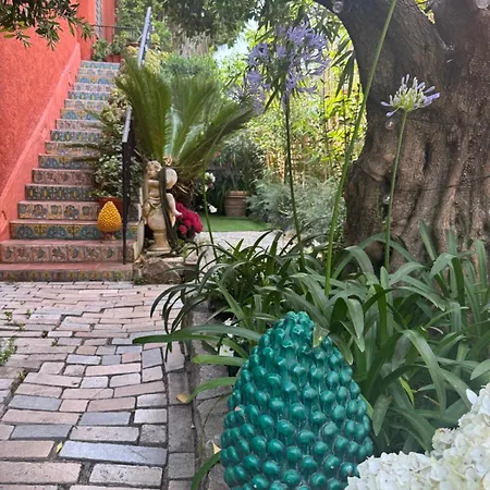 Romana 4* Saint-Tropez