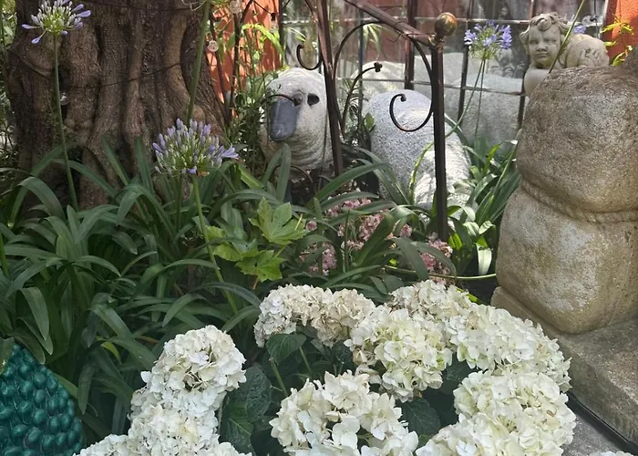 Romana Bed & Breakfast